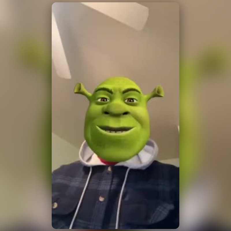 Shrek meme face Lens by Mark B - Snapchat Lenses and Filters