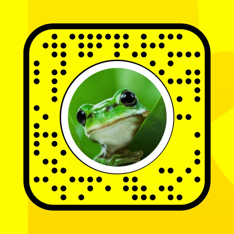 frog cheeks xo Lens by