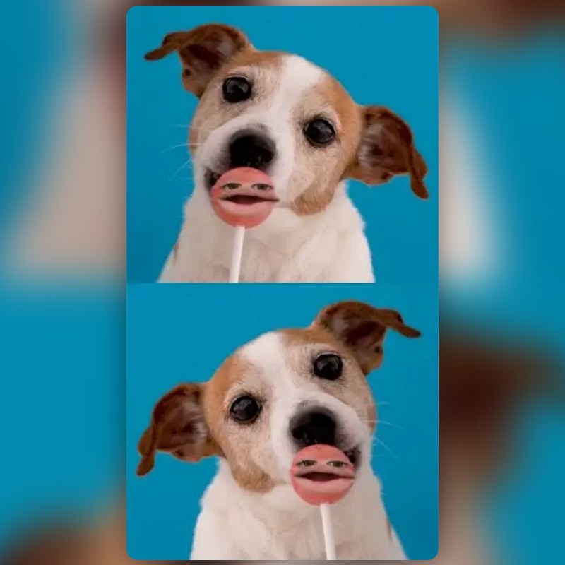 فلتر Dog with Candy من Snapchat | عدسات Lens سناب شات