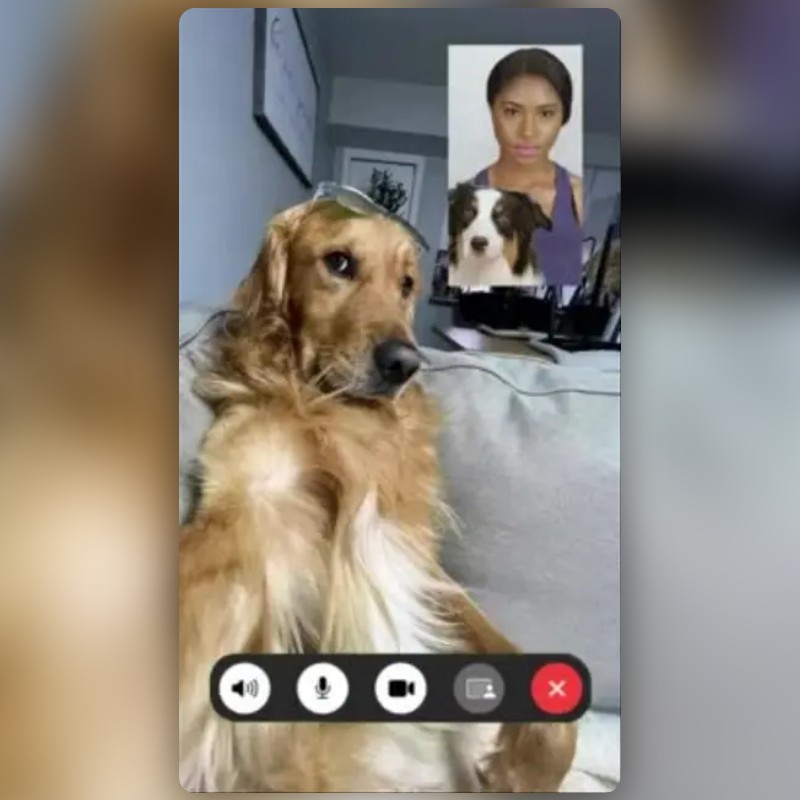 dog facetime Lens by alex Snapchat Lenses and Filters