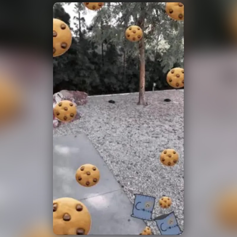 I love cookie Lens by Amanda🦋🧿 Snapchat Lenses and Filters