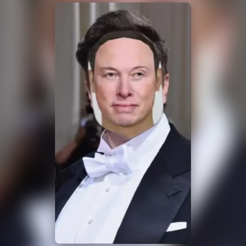 Elon Musk Lens by Dairy Milk (Grinch version) Snapchat Lenses and Filters