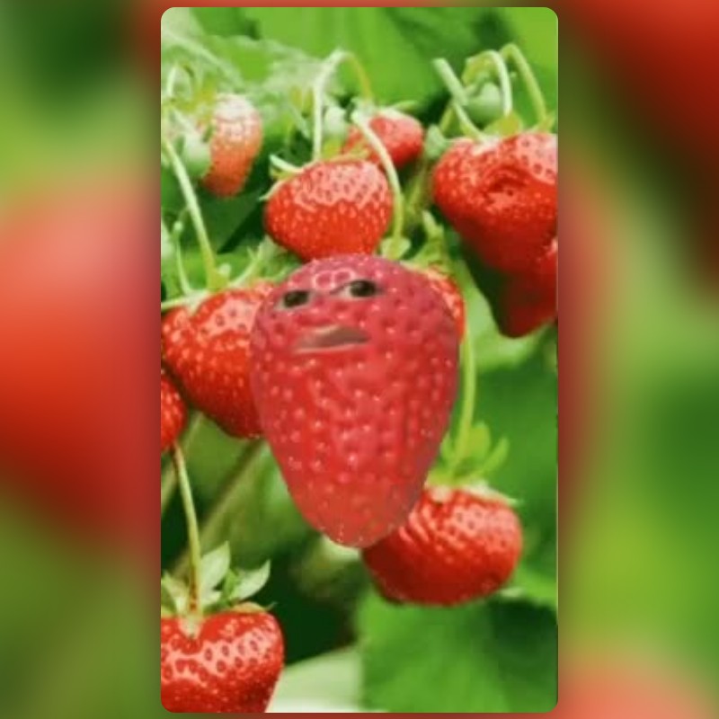 Strawberry Head Lens by Marco - Snapchat Lenses and Filters