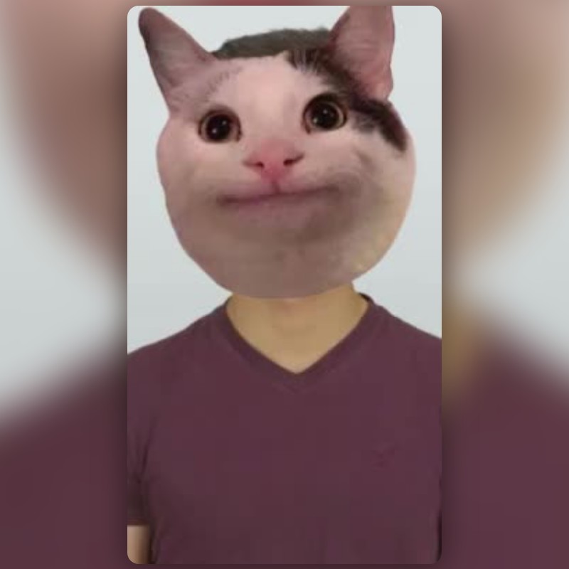 Thumb cat meme Lens by Bakhtiares - Snapchat Lenses and Filters
