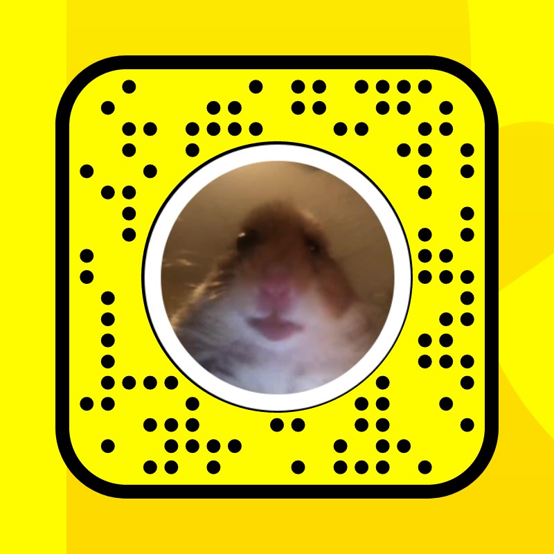 Hamster Facetime Lens By Alan - Snapchat Lenses And Filters