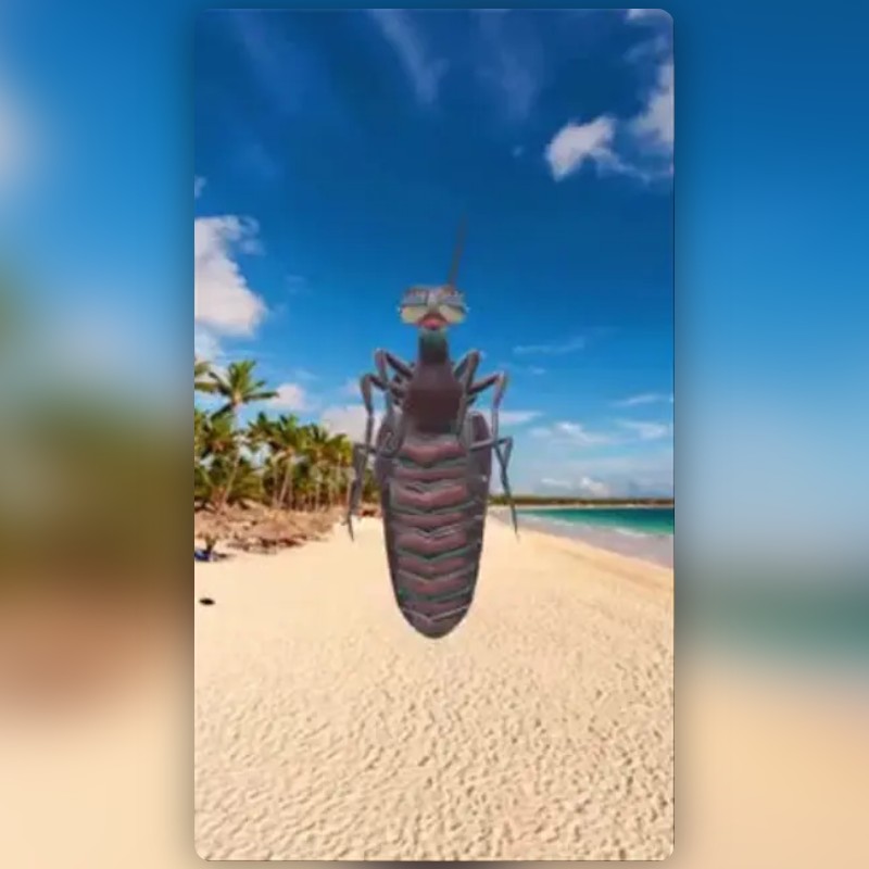 Beach Roach Lens by Phil Walton - Snapchat Lenses and Filters