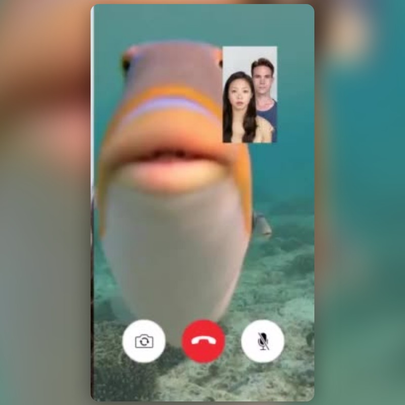 Fish Facetime Lens by andrew solorio 🦭 Snapchat Lenses and Filters