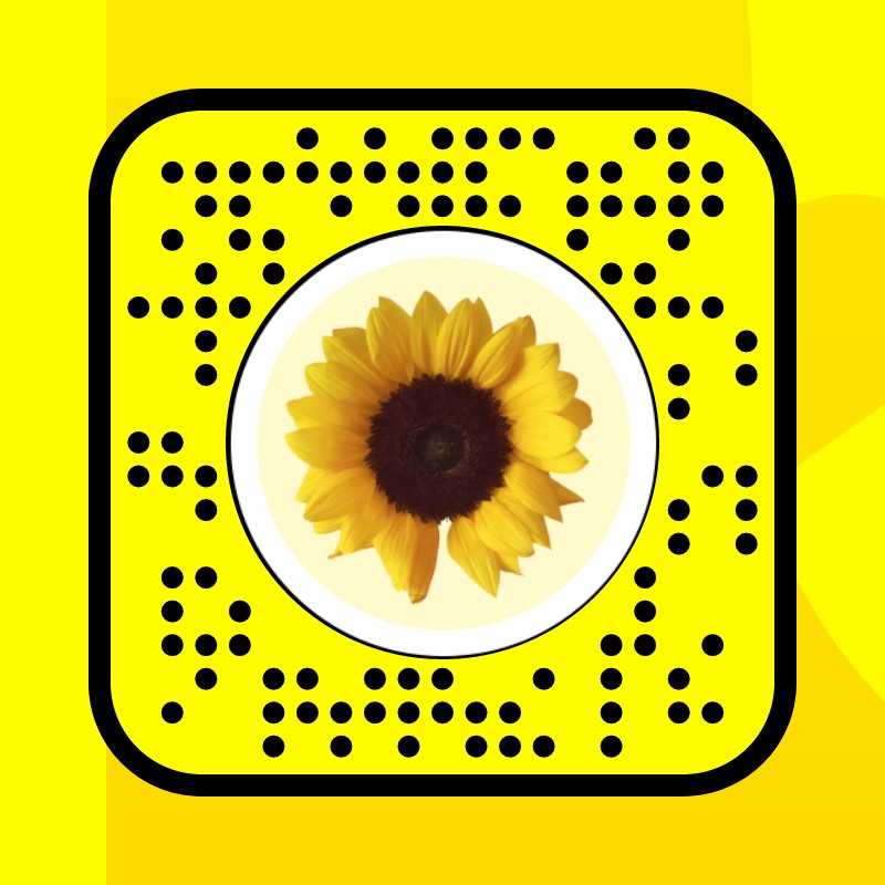 sunflower Lens by ashanti.zayya – Snapchat Lenses and Filters