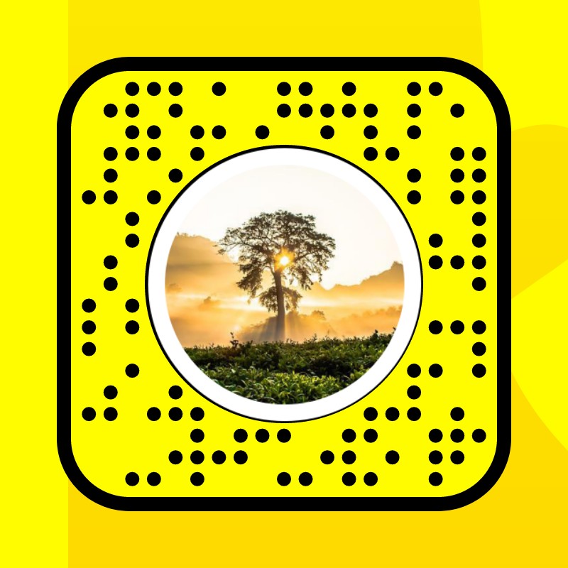 Sunny Day Lens by 𝐇𝐀𝐀𝐌𝐎𝐎 Snapchat Lenses and Filters