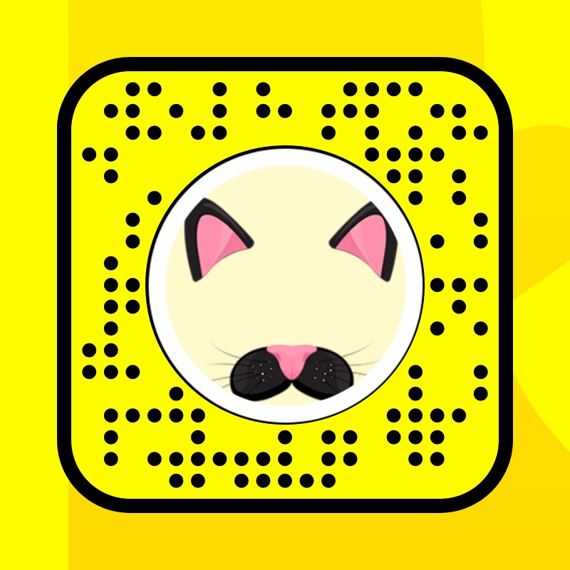 Cat Lens by Snap Filter Snapchat Lenses and Filters