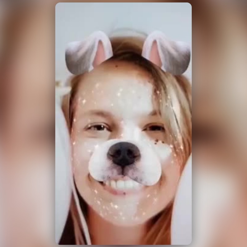 Angry Pet Lens by SeyXR - Snapchat Lenses and Filters