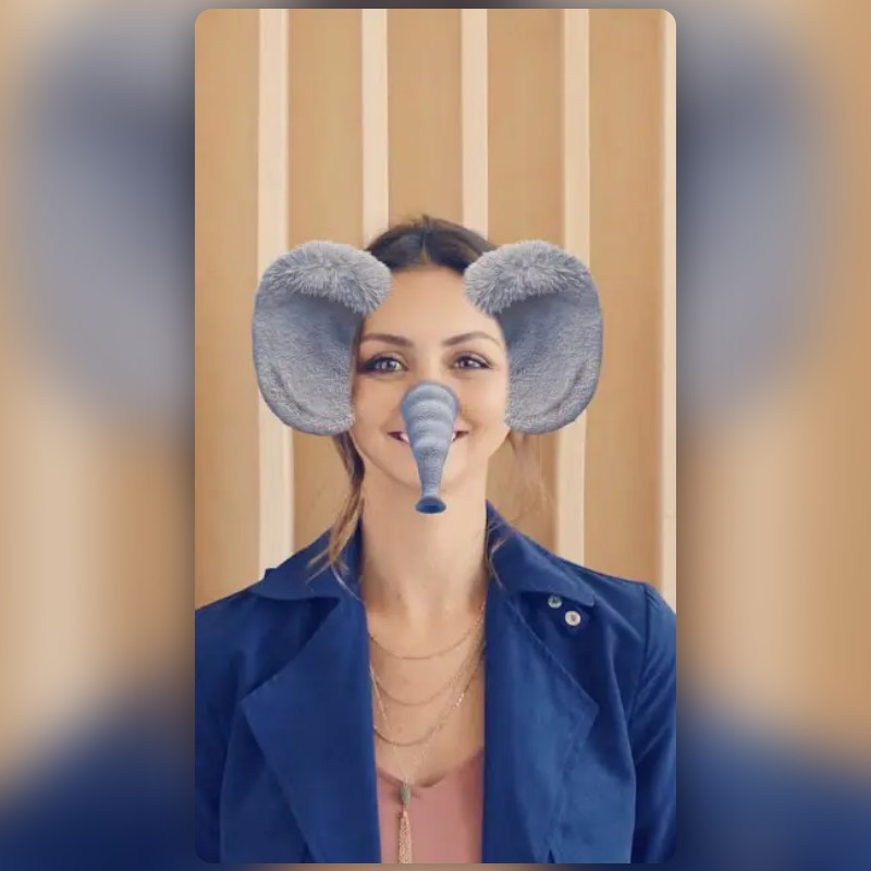 Funny Elephant Lens by Snapchat Snapchat Lenses and Filters