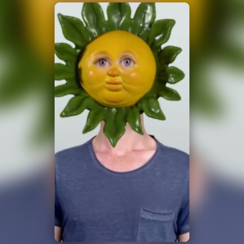 Sunflower Jelly Lens by Danielle Grace – Snapchat Lenses and Filters