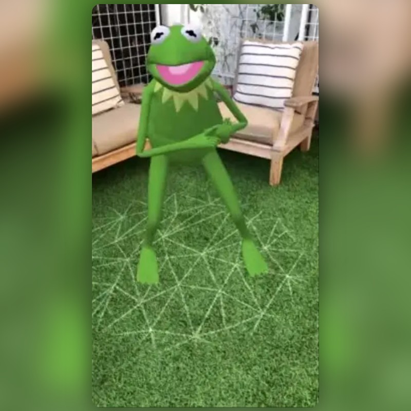 Kermit Lens by HB Snapchat Lenses and Filters