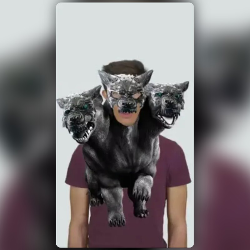 CRC Cerberus Filter by Naco | Snapchat Lenses