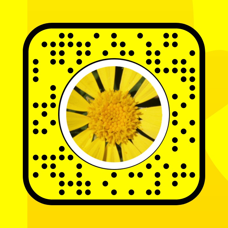 Bush Daisy Face Lens by zale anderson - Snapchat Lenses and Filters