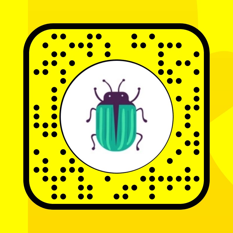Bug Face Lens by Harley Craig Snapchat Lenses and Filters
