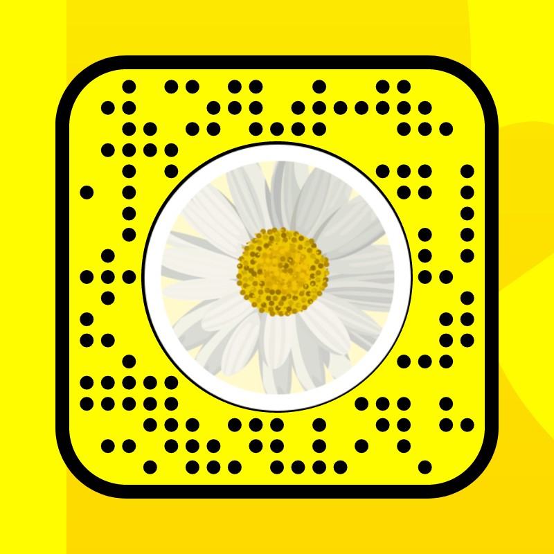 Daisy cheeks Lens by tilly - Snapchat Lenses and Filters