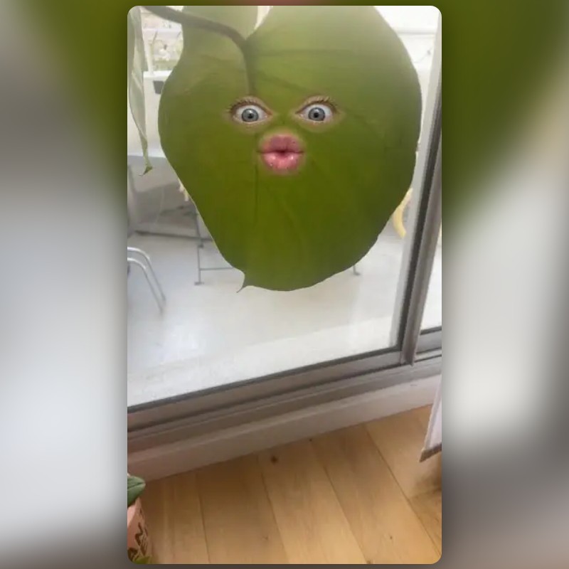 Snapchat Float Floating Face Filter by Snapchat | Snapchat Lenses