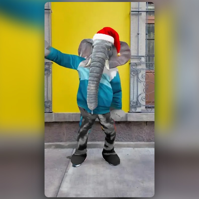 Elephant Transformation Lens by Snapchat Snapchat Lenses and Filters