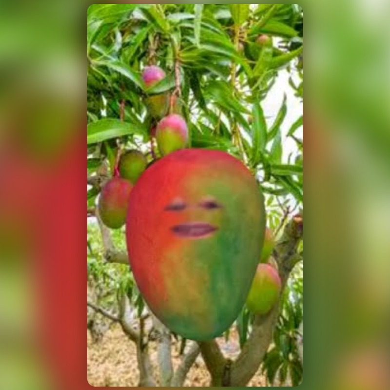 Mango Head Lens by Marco - Snapchat Lenses and Filters