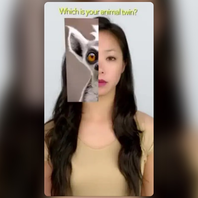 Snapchatが作成したyour animal twinフィルター | Snapchatレンズ