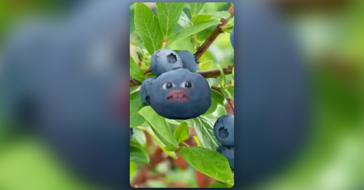 Blueberry Head by Marco