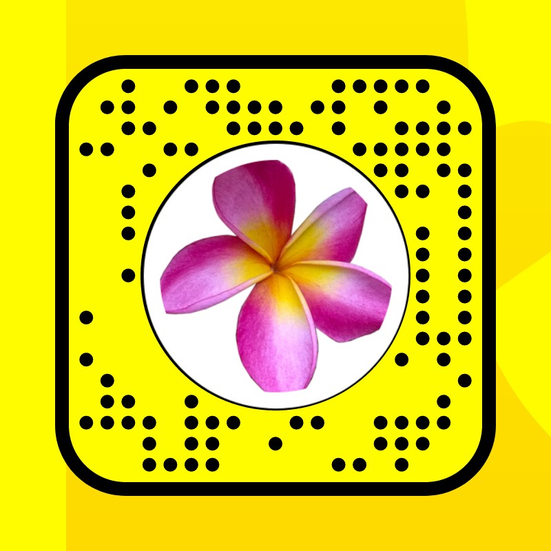 Hawaii Lens by Katya Bahchedzhy Snapchat Lenses and Filters